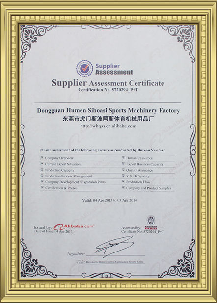 China Dongguan Skyegle Intelligent Technology Co.,Ltd. certificaten